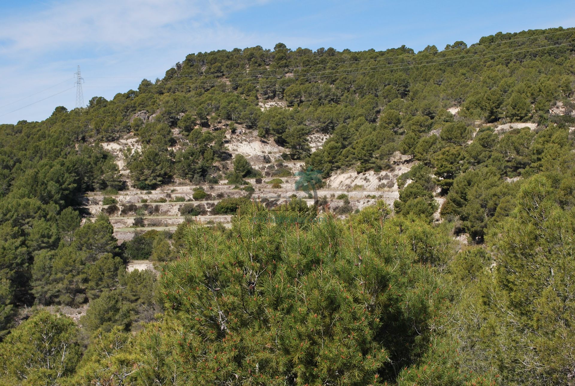 Op unieke locatie gelegen villa met fenomenaal mooi uitzicht - VZM Makelaar